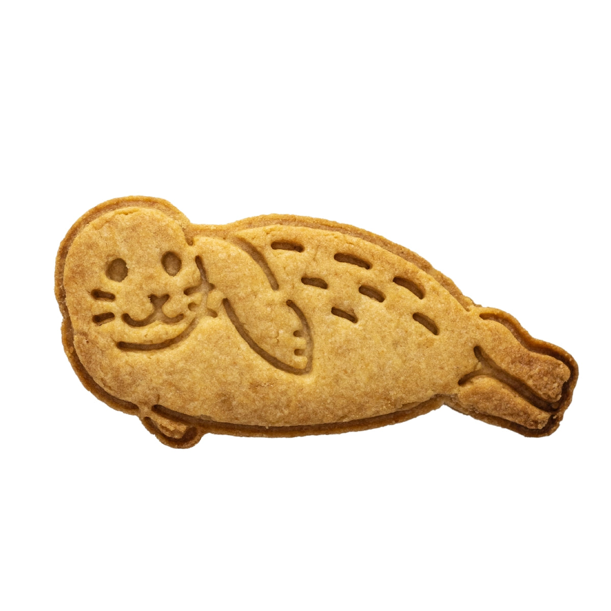 No.0605 アザラシ – sacsac / cookie cutter museum