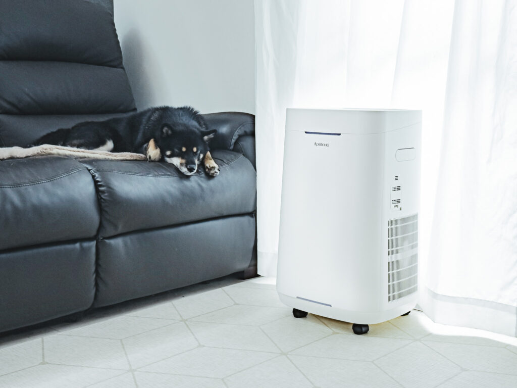 ズボラ必見】フィルター交換不要！最強の空気清浄機「Apolnus Venus