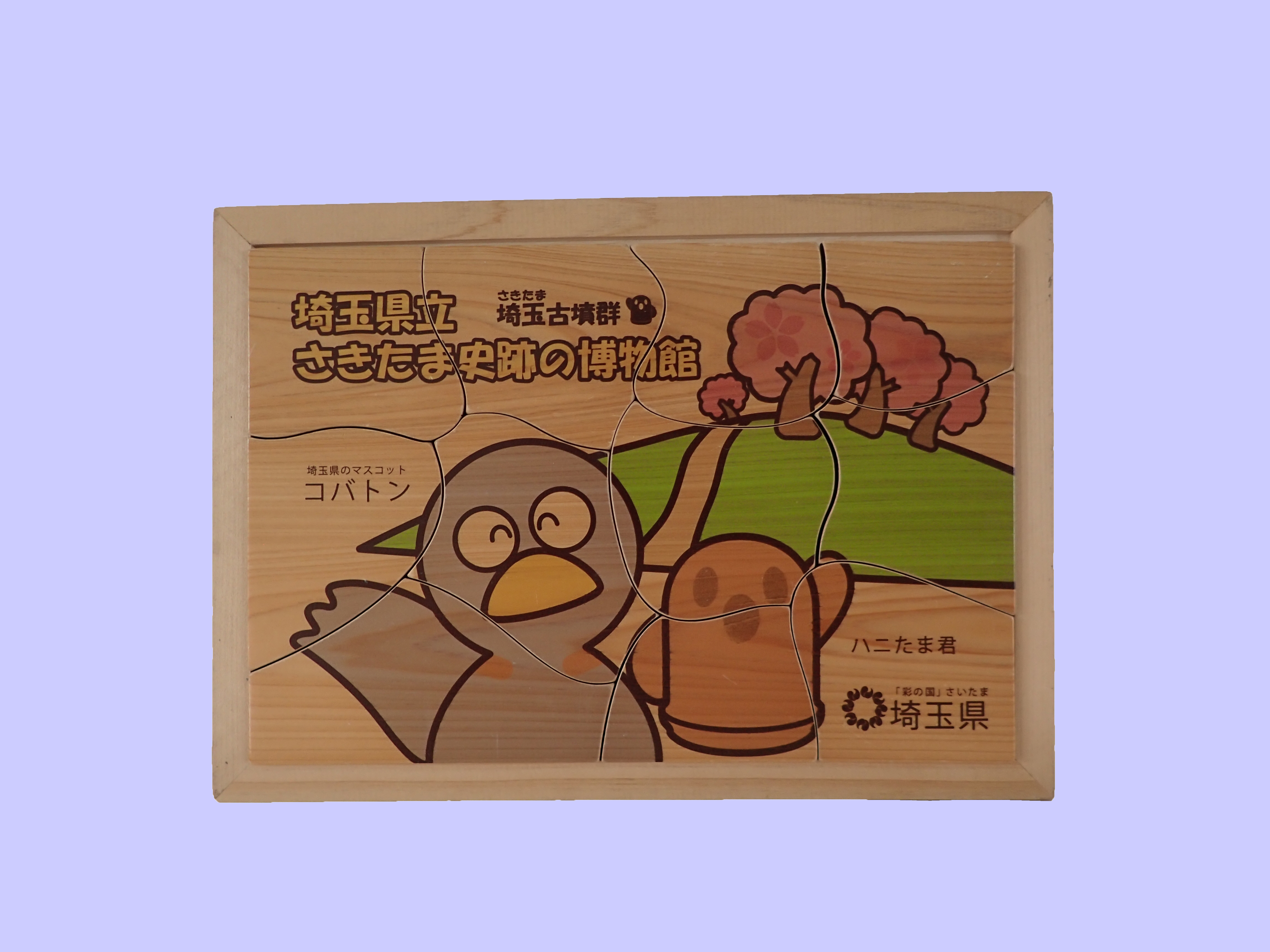 埼玉の古墳 全巻セット 埼玉の古墳＜全5巻セット＞｜さきたま出版会