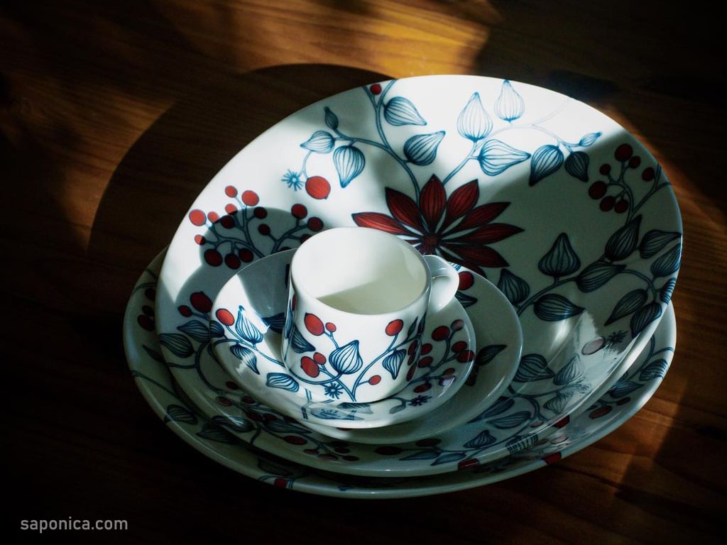 2022年冬もルノ日記 - saponica