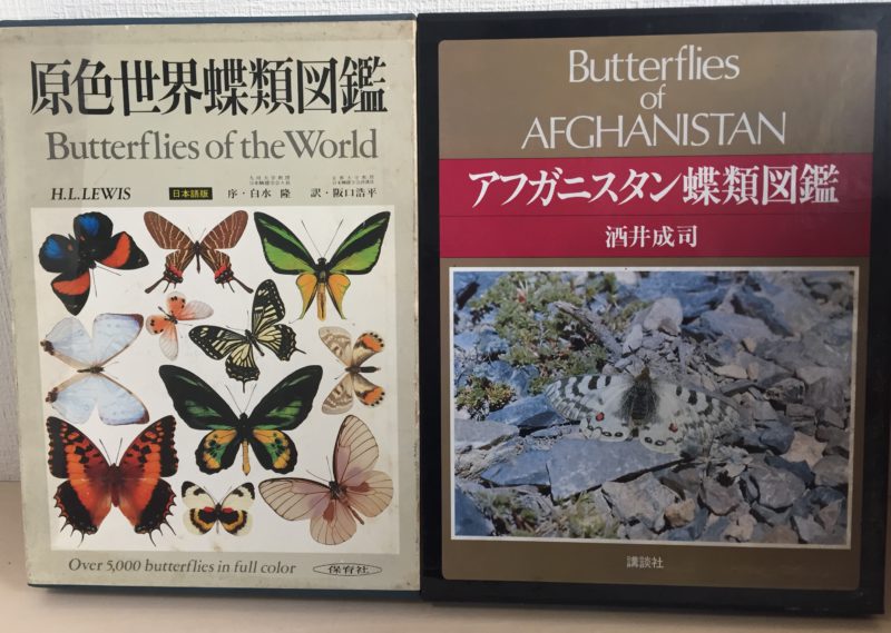 札幌市中央区にて『蝶』の専門書・図鑑の出張買取｜医学書 / 学術書