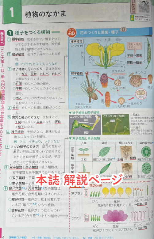 ノートから解説動画などが見られるようになった、新学社『新研究』定着