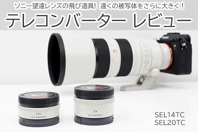 ソニー テレコン レビュー 作例付き 望遠レンズの飛び道具!