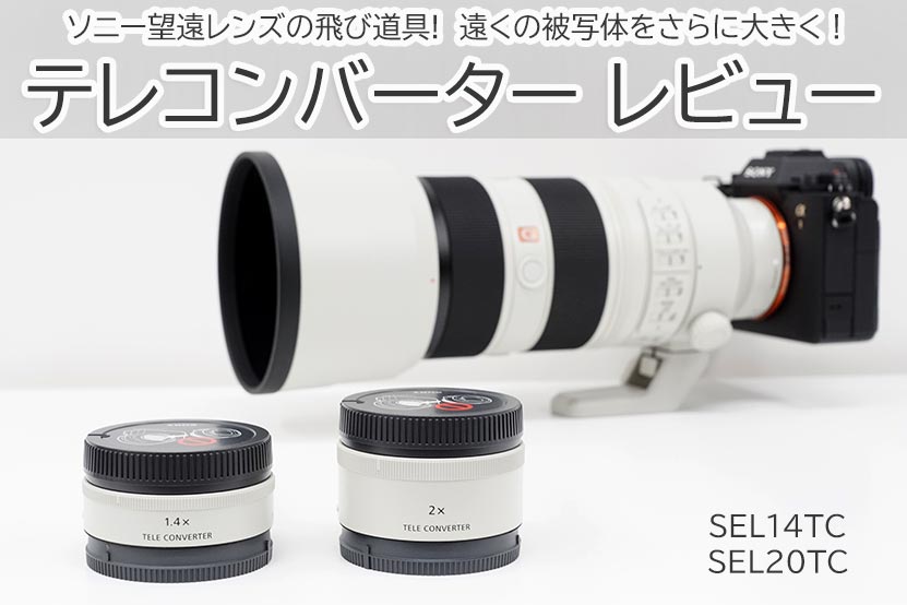 ソニーテレコンバーター ｜望遠レンズの飛び道具!作例付きで紹介