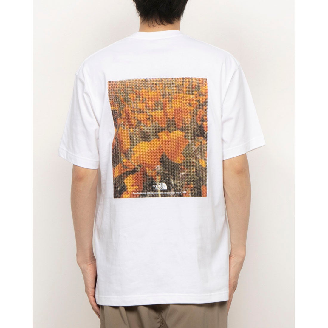 ザ・ノース・フェイス THE NORTH FACE メンズ アウトドア 半袖Tシャツ