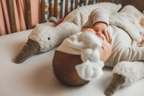 Cuddly Animal Goose ホワイト (S)｜SENGER Naturwelt – SENGER