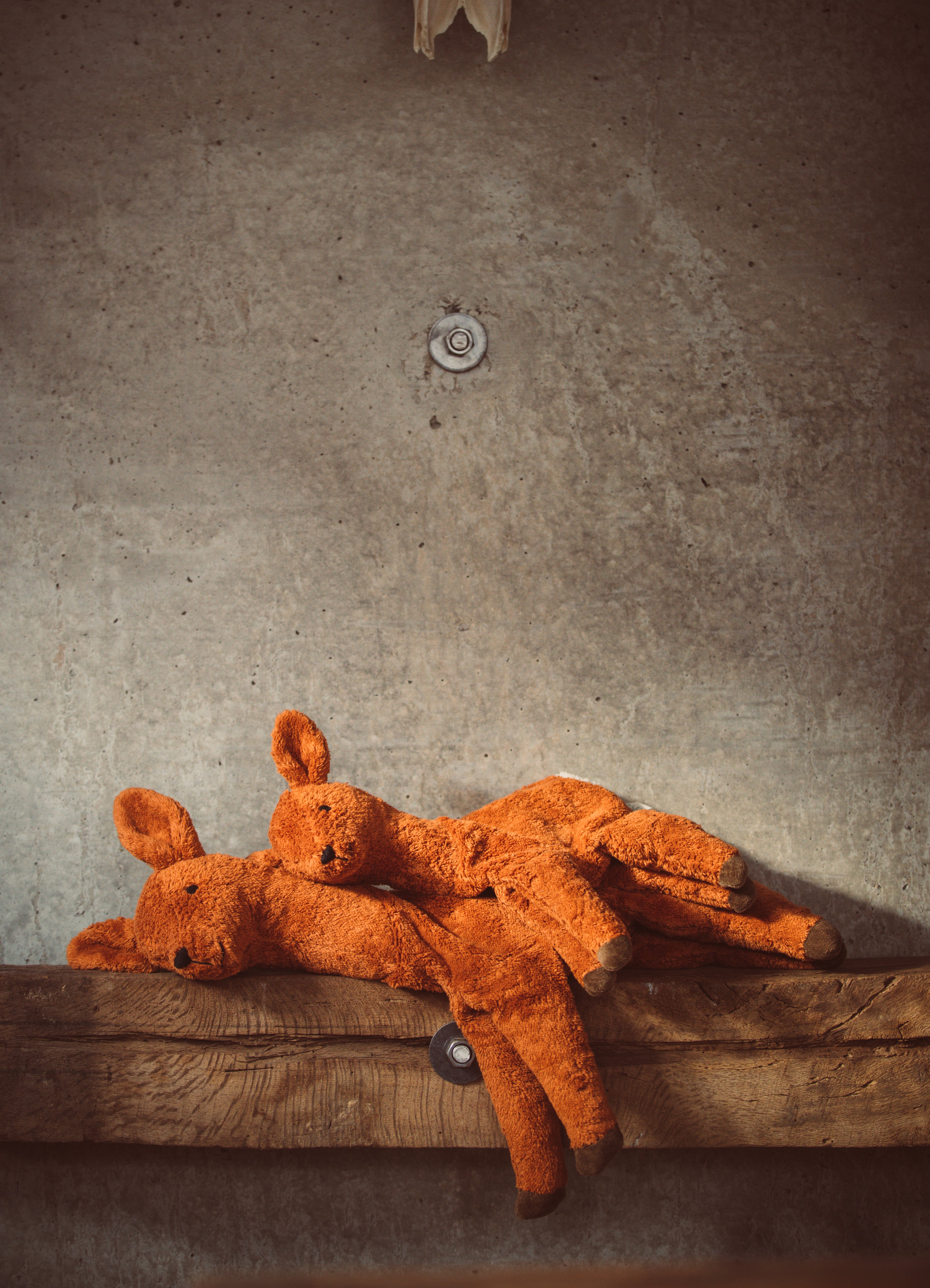 Cuddly Animal Deer (S)｜SENGER Naturwelt – SENGER Naturwelt Japan