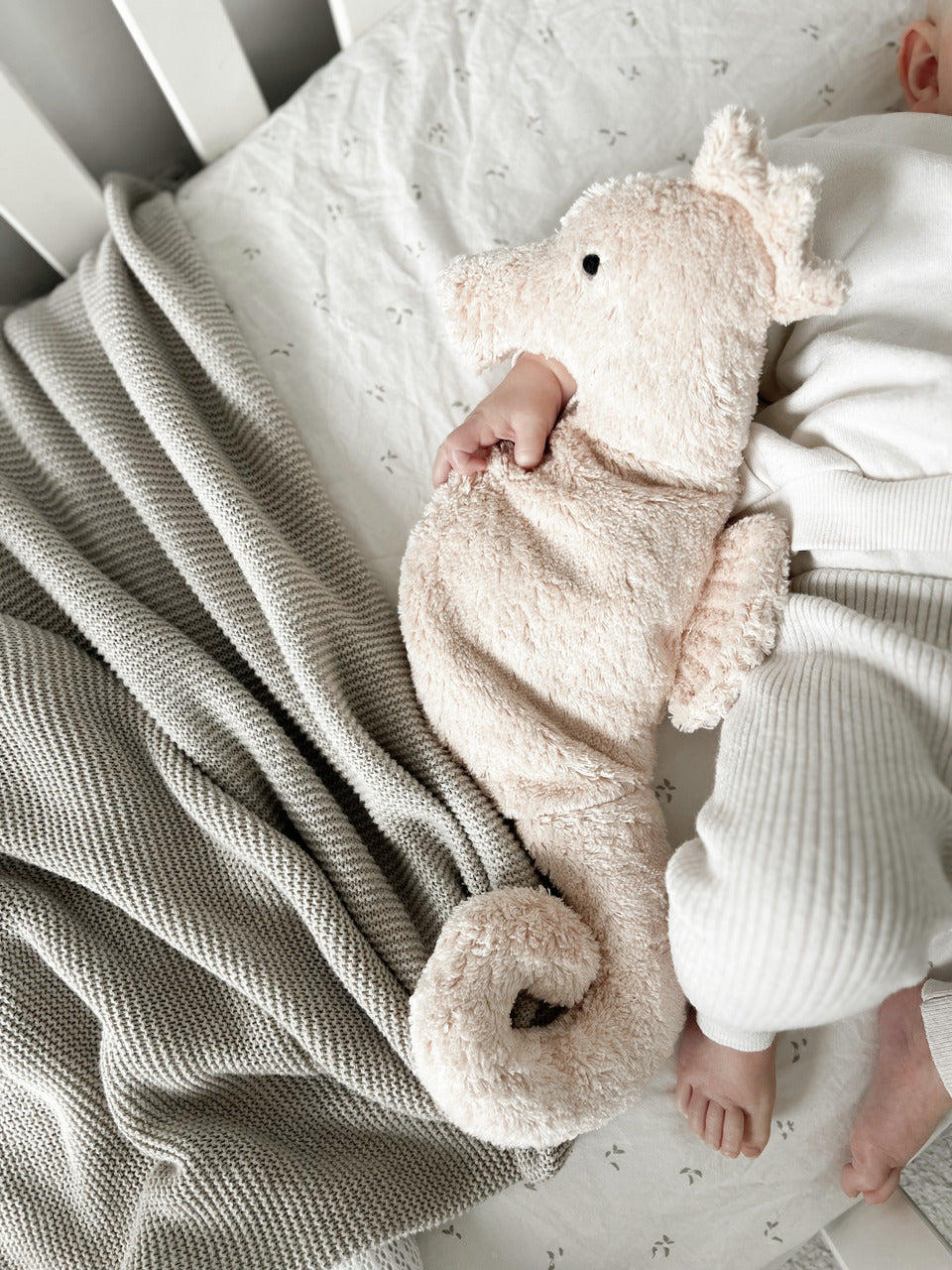 Cuddly Animal Seahorse (S)｜SENGER Naturwelt – SENGER Naturwelt Japan