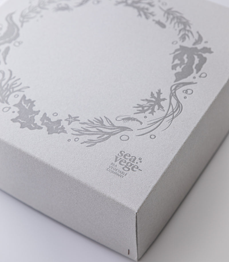 海藻ギフトボックス コラボセレクト（大）／シーベジタブル – SEA