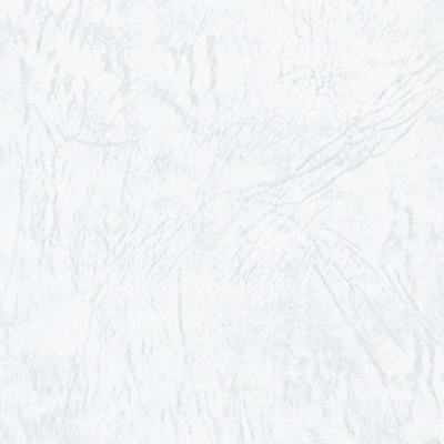 レザック66(しろ)｜検索結果｜特種東海製紙