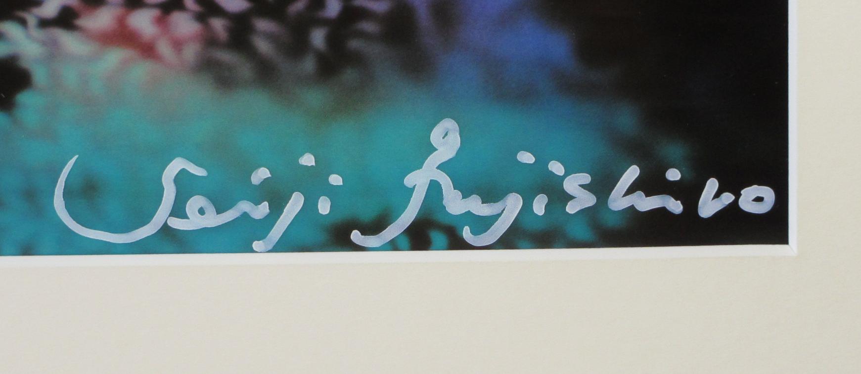 月光の響 | ｜正光画廊