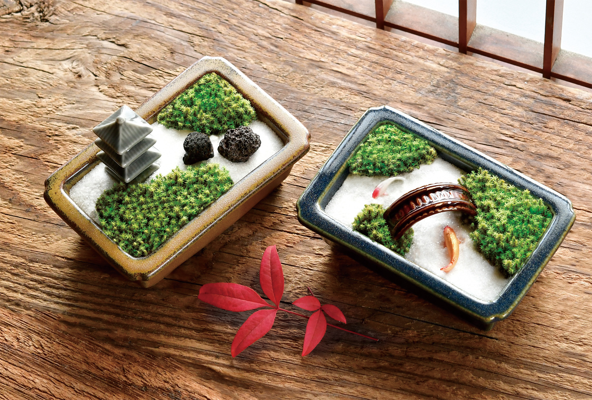 禅庭 - 聖新陶芸株式会社｜栽培キットの企画・製造・販売