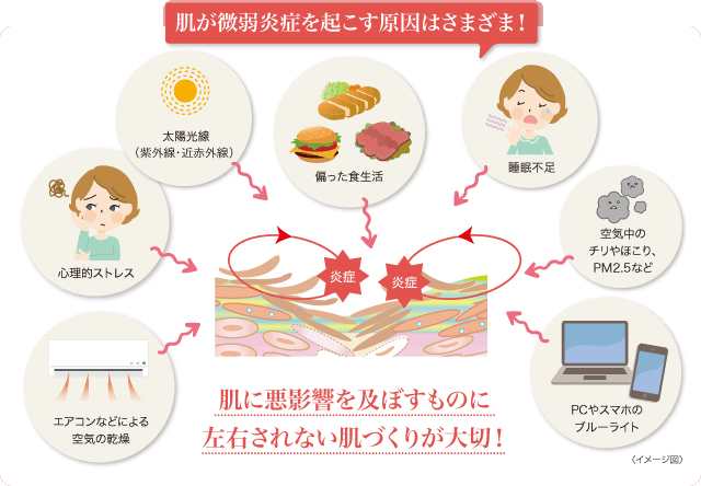 美肌を目指す、すべての人に。｢エルテオシリーズ｣ | きれいのレシピ by