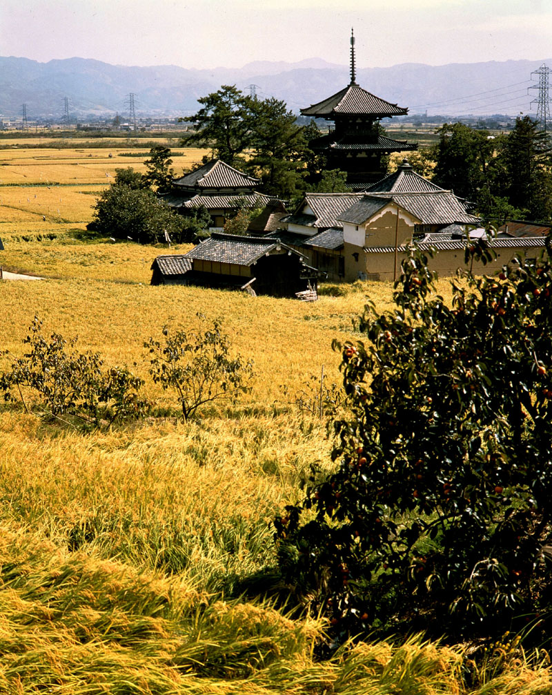 入江泰吉が見た奈良・大和路を歩く】第3回 写真家が生涯追いかけた