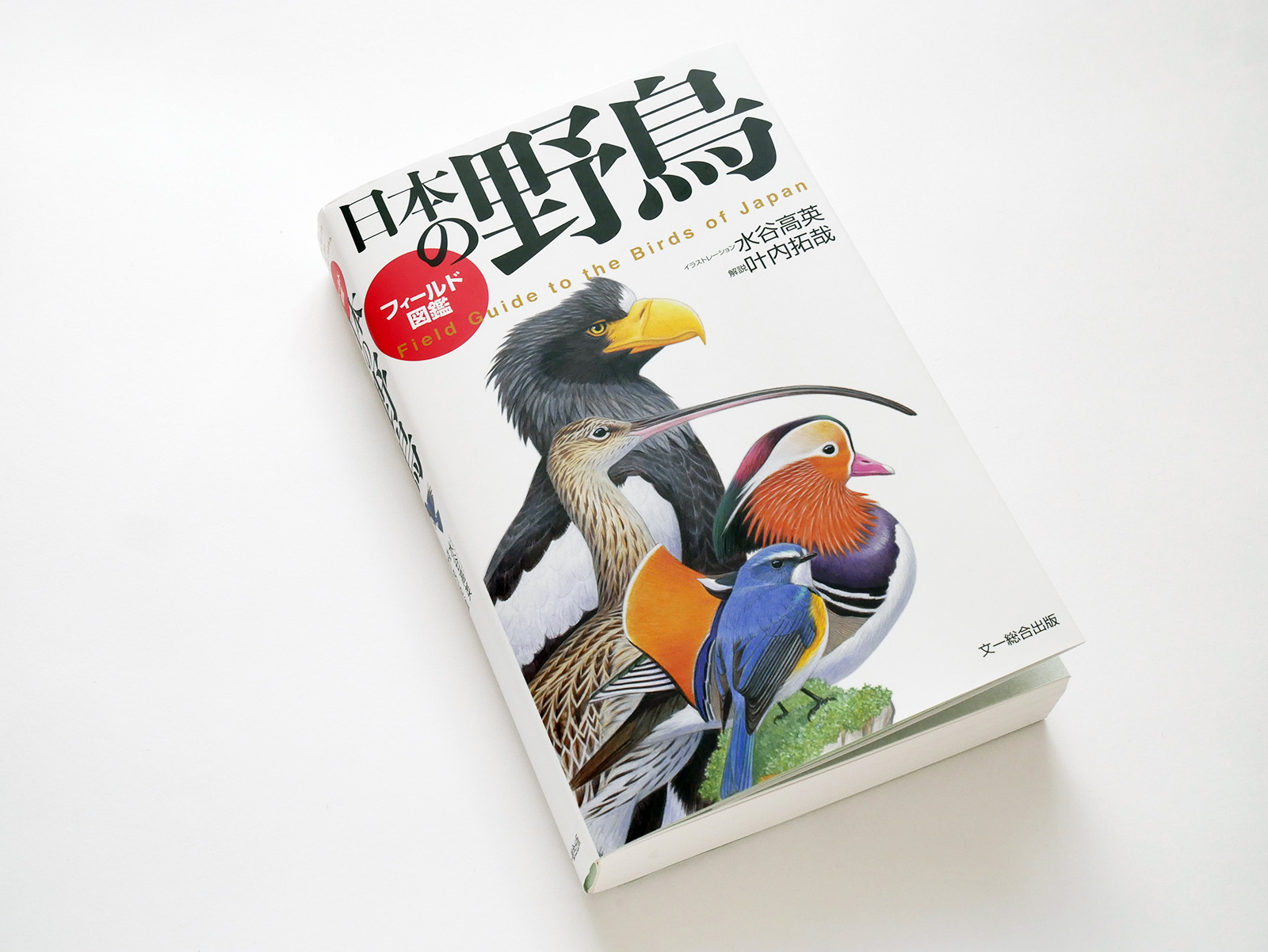 愛鳥家なら必携！日本で30年ぶりとなる野鳥のイラスト図鑑 | サライ.jp