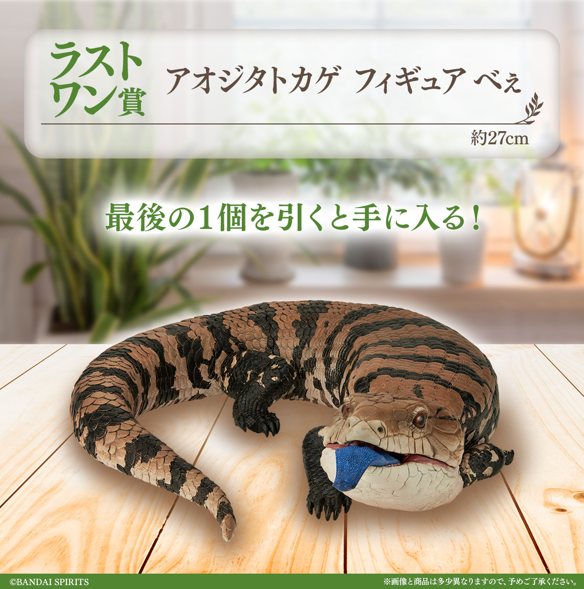 一番くじ 爬虫類＆両生類～Tiny Friends～vol.2｜一番くじ倶楽部