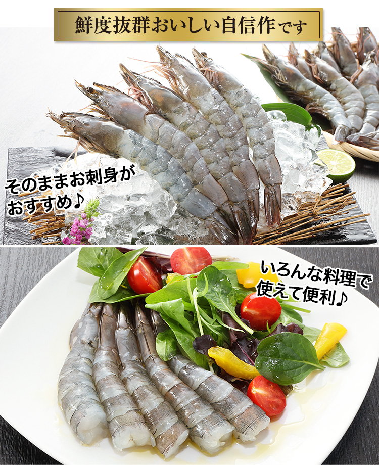 752:【刺身用】鮮度極生えび500g（5尾×3P）