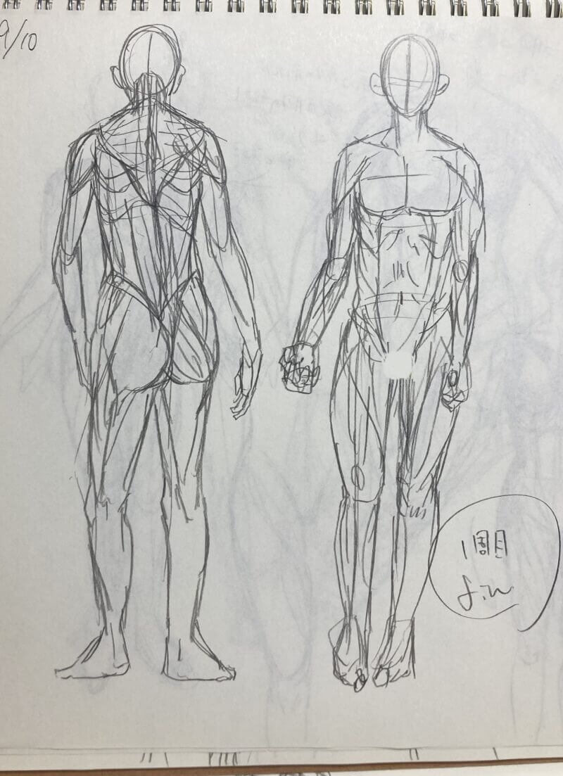 イラスト修行】モルフォ人体デッサン2週目終了。クロッキーは学んで