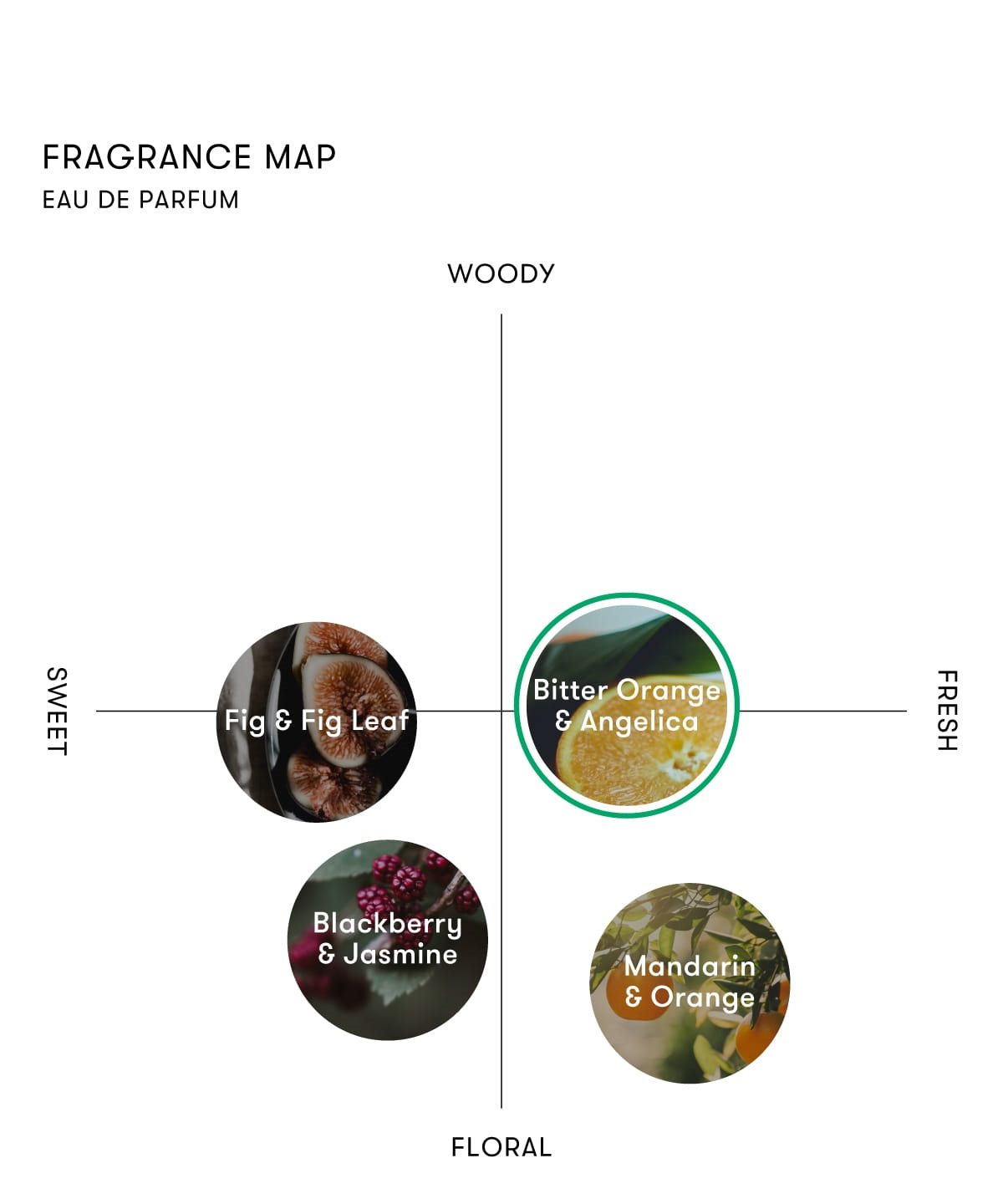 商品詳細ページ | SINN PURETE（シン ピュルテ）公式オンラインストア