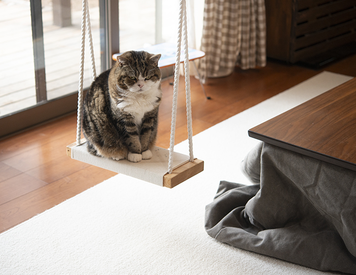 こたつねこ。Kotatsu and Cats. | 私信 まるです。