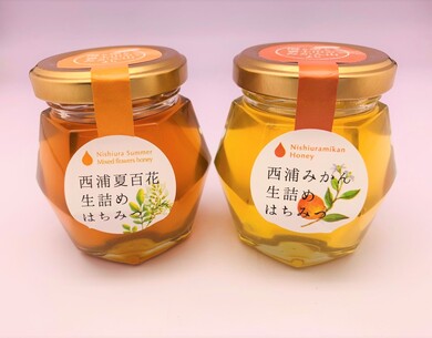高田農園「西浦はちみつ生詰めはちみつ」100g×2瓶 ギフト箱 ※常温