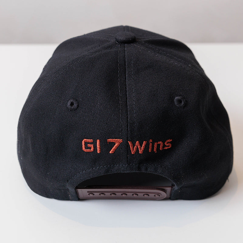 キタサンブラック・キャップ｜netkeiba