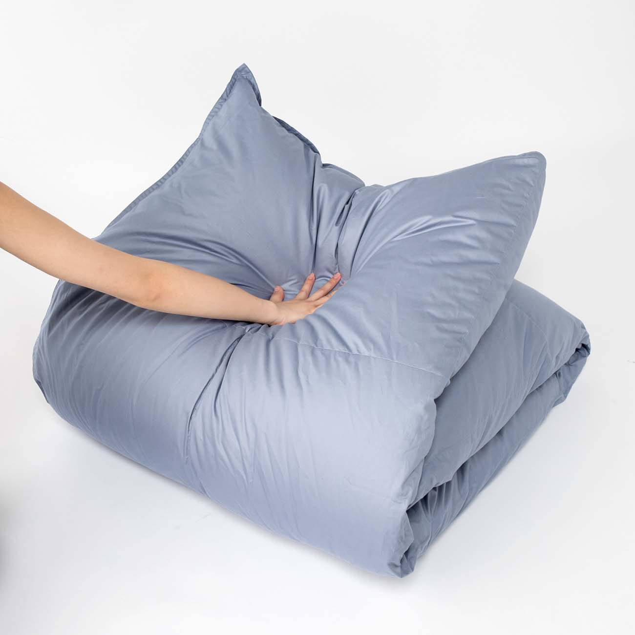 西川プレミアム 羽毛合掛けふとん[グース][「おひさまの羽毛