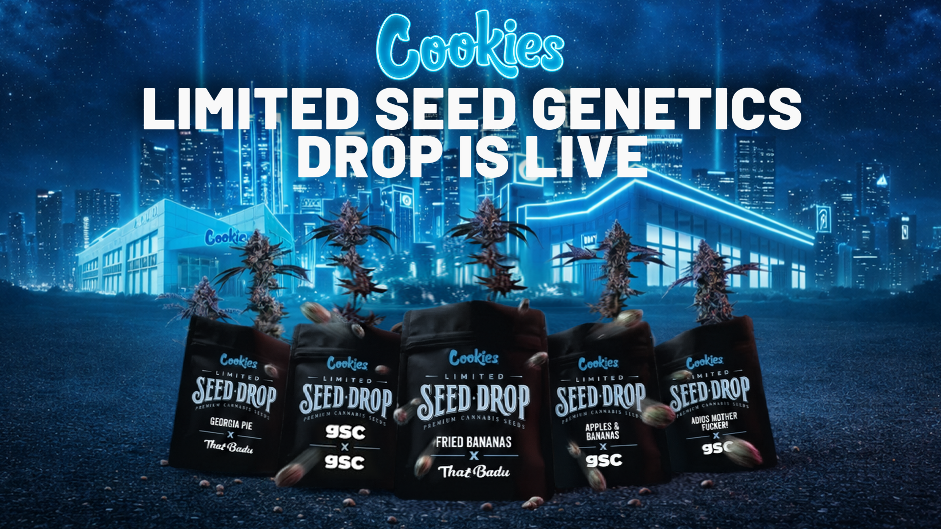 Cookies Hemp | Premium CBD Flowers, Pre-Rolls & Vapes