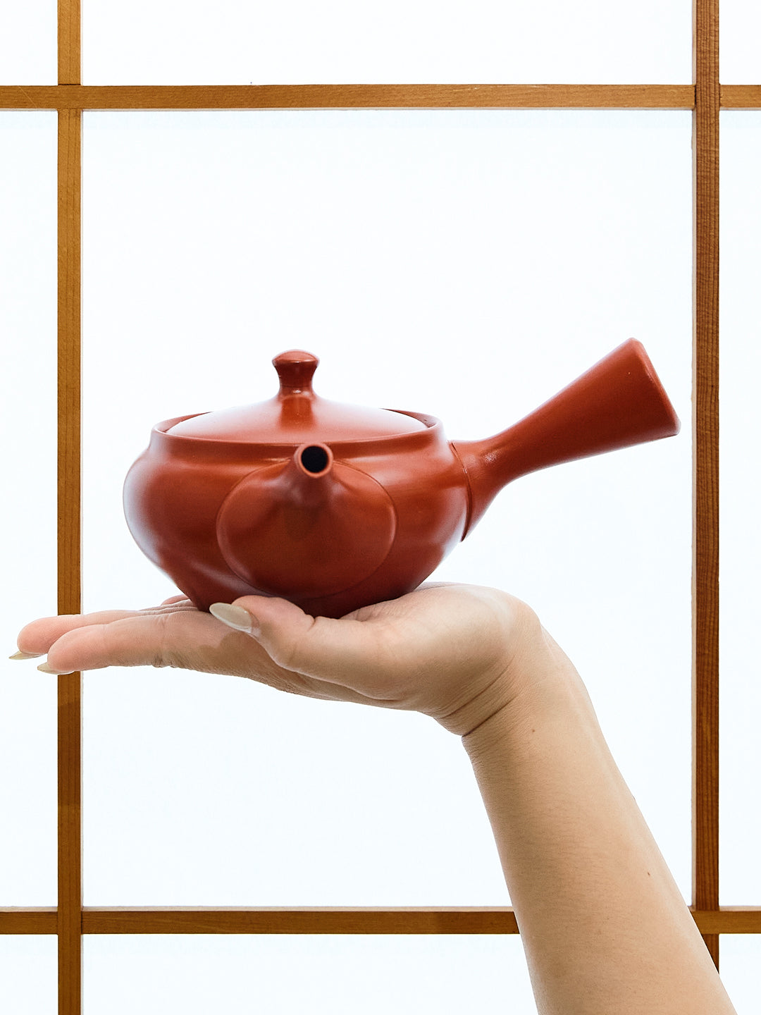 Red Clay Tokoname Japanese Teapot Set | Japan Objects Store
