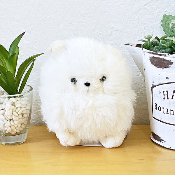 楽天市場】【送料無料!】 ポメラニアンもち ぬいぐるみ ぷりぬい