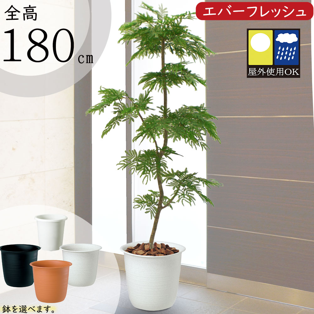 楽天市場】フェイクグリーン 屋外用 屋外対応 大型 おしゃれ ネムノキ