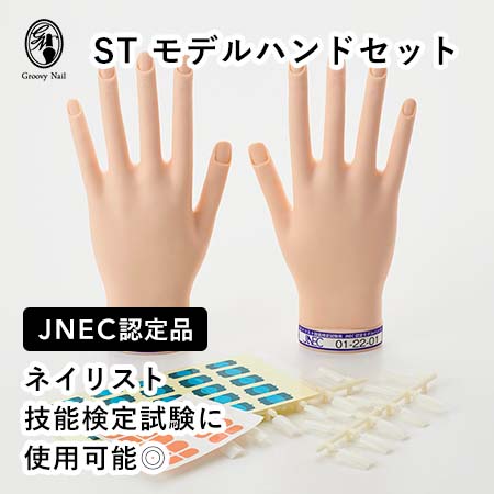 楽天市場】JNEC認定 STモデルハンド 3点セット ネイルチップ/ルース