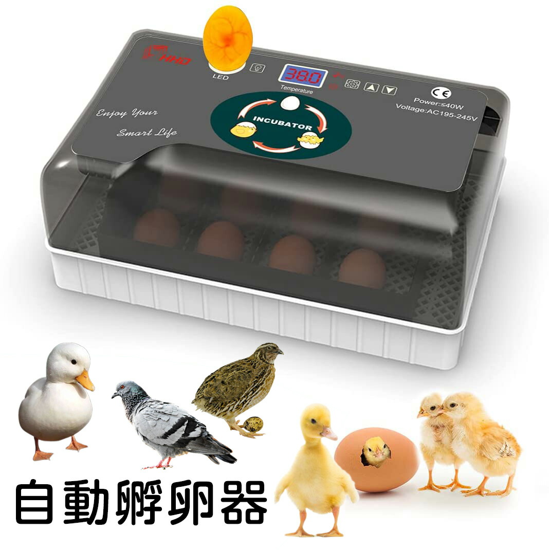 楽天市場】【5％クーポン配布中！】孵卵器 孵化器 鳥類 専用 孵卵 器