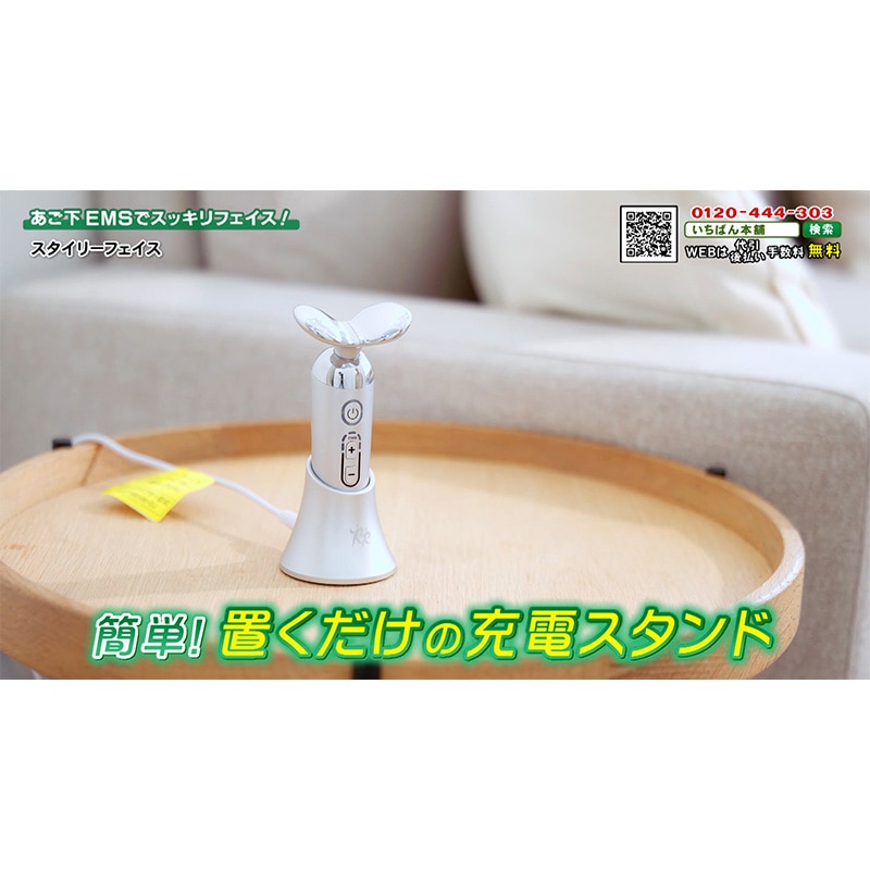 スタイリーフェイス【期間限定価格】: 美容・健康｜いちばん本舗
