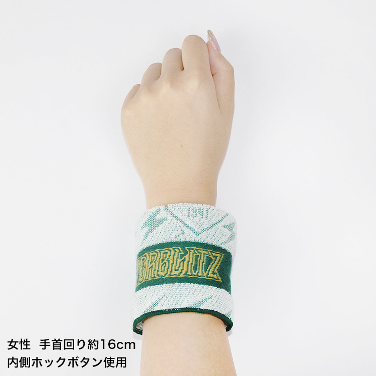 ハンブレッダーズ 2019 ロゴタオル 緑 NEW『IORINO／すぐさら』バス