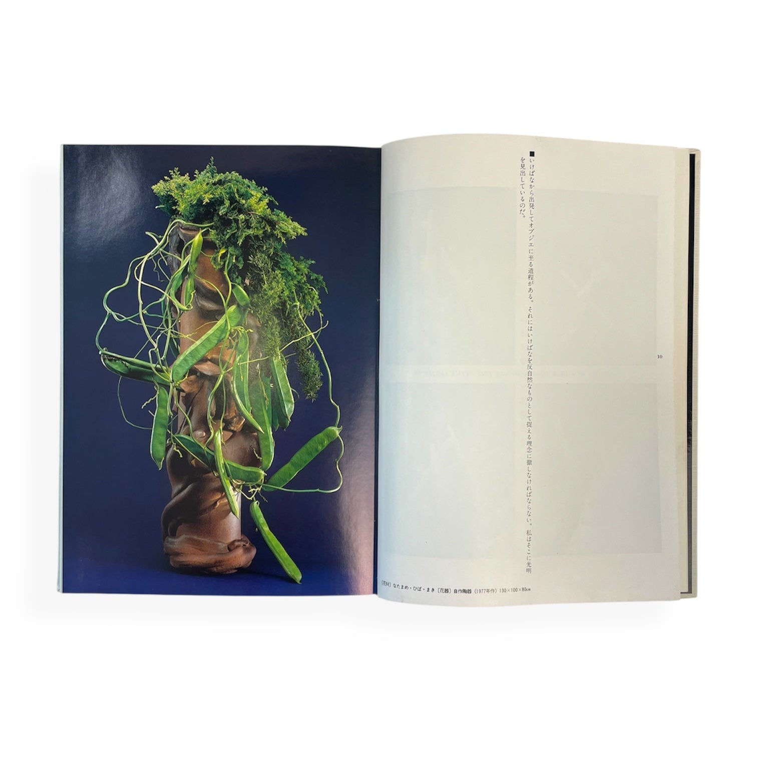 草月のいけばな 勅使河原宏 作品集 1978-1987 草月出版 草月のいけばな