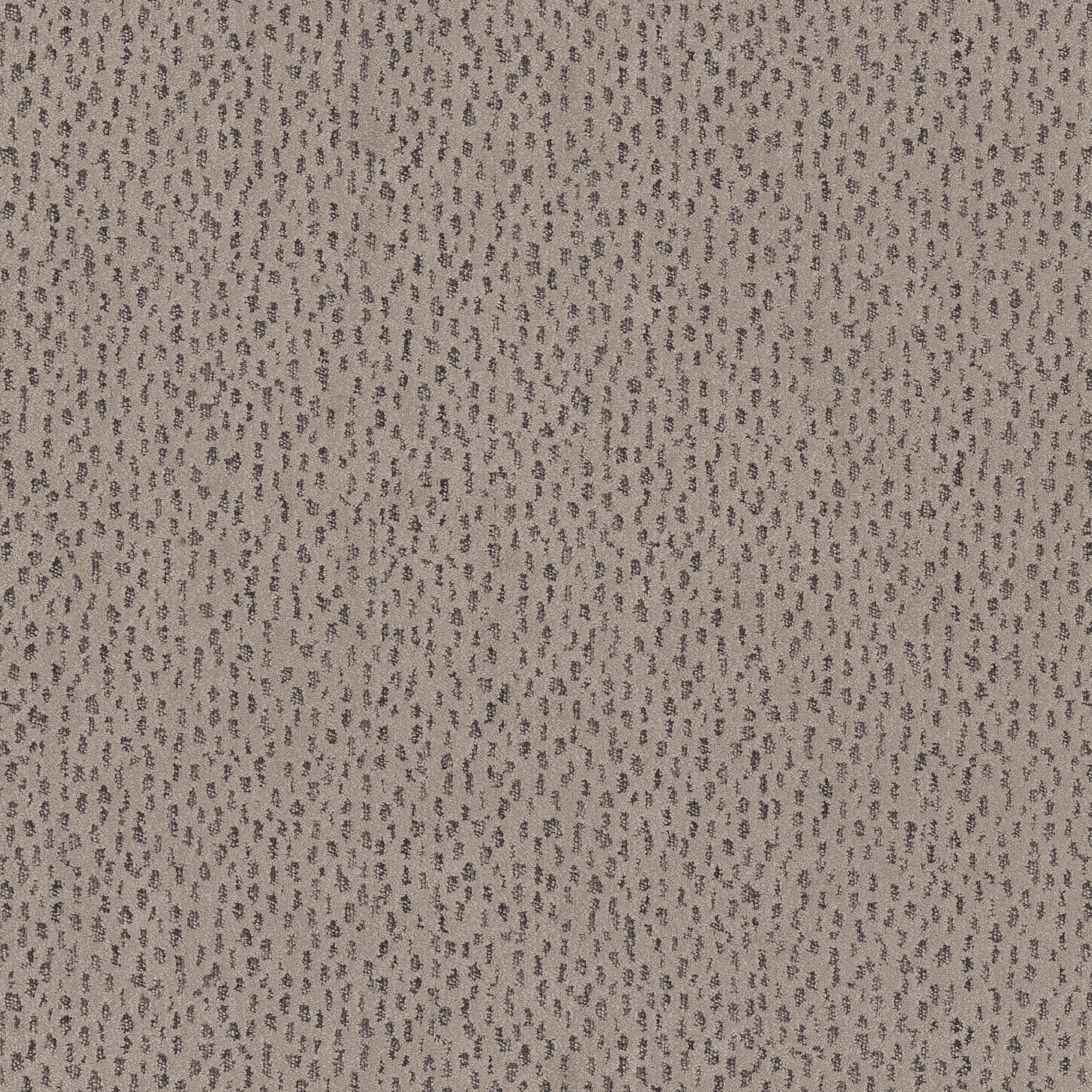 Ambitious - 100% ANSO® High Performance PET in Mocha | AndersonTuftex