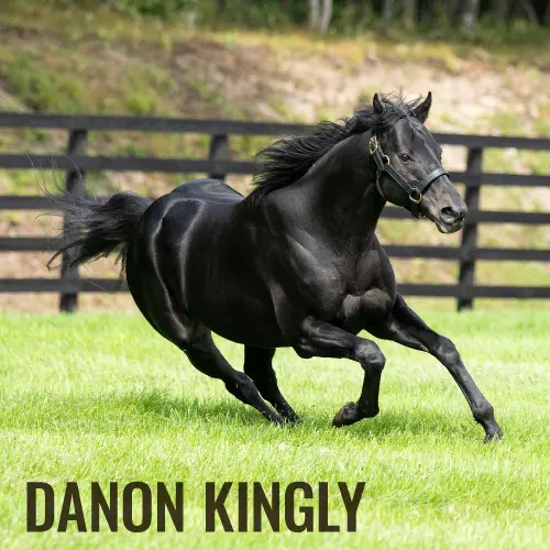 社台スタリオンステーション