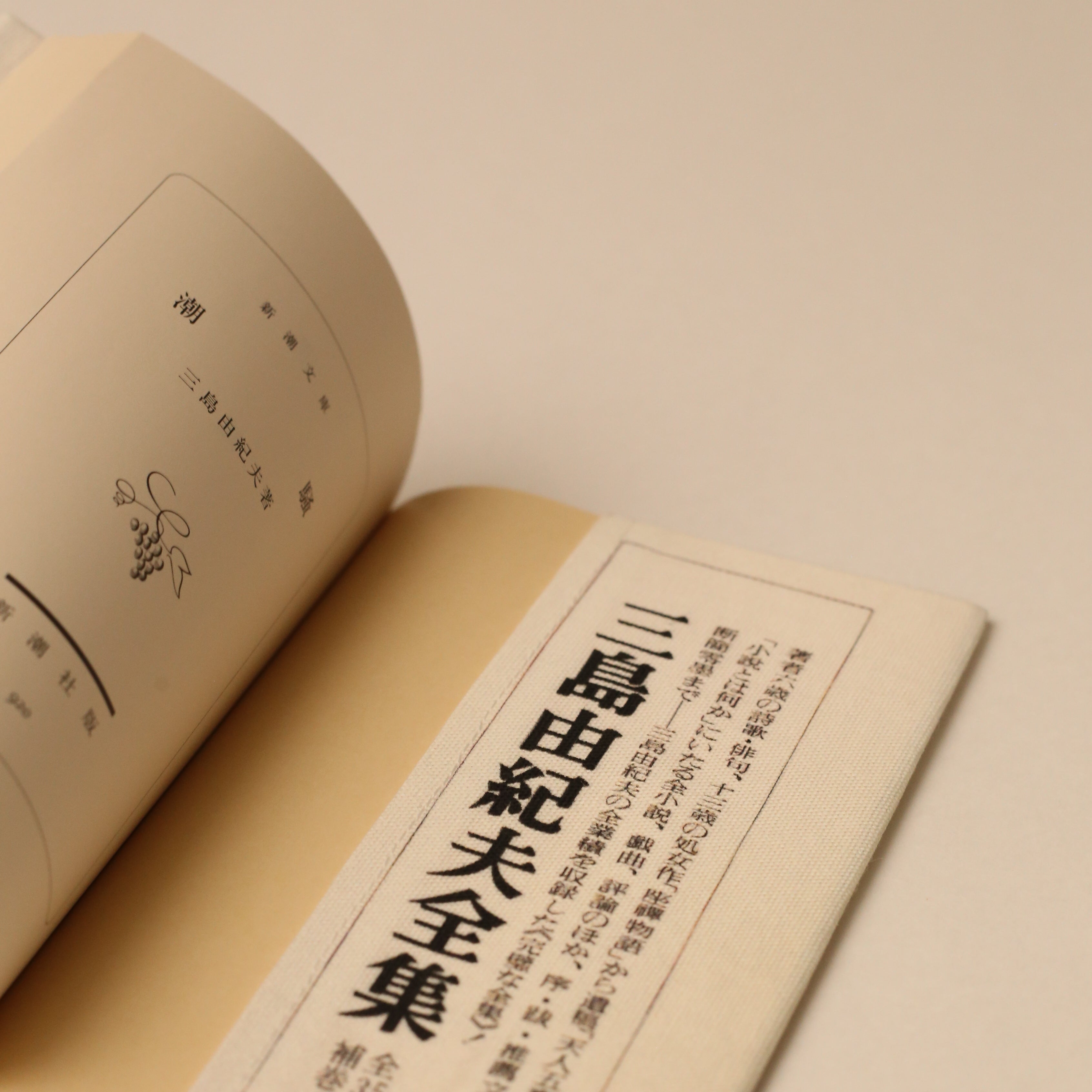 タイポグラフィーにもアジがある、シンプルな装幀デザインだった頃の