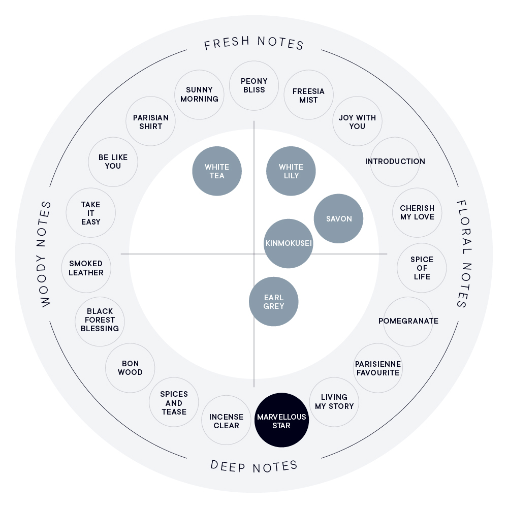 MARVELLOUS STAR パフュームディフューザー リキッド | SHIRO