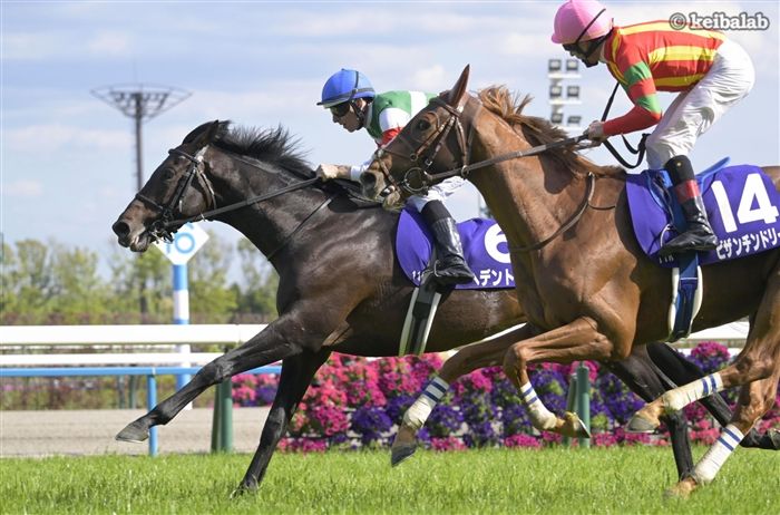 天皇賞・春】絶対に抜かせない！ヘデントールが叩き合いを制しG1初制覇