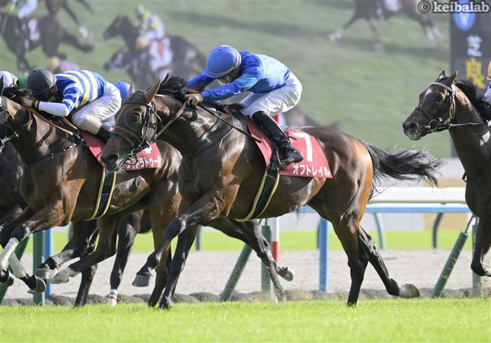 ゔ*す様 97年 朝日杯3歳ステークス 馬券 ゔ*す様 97年 朝日杯3歳