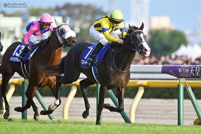 カランダガン - Calandagan - 競走馬データベース | 競馬ラボ