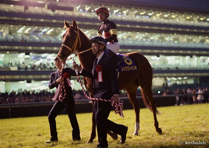 レッツゴードンキ - Let's Go Donki - 競走馬データベース | 競馬ラボ