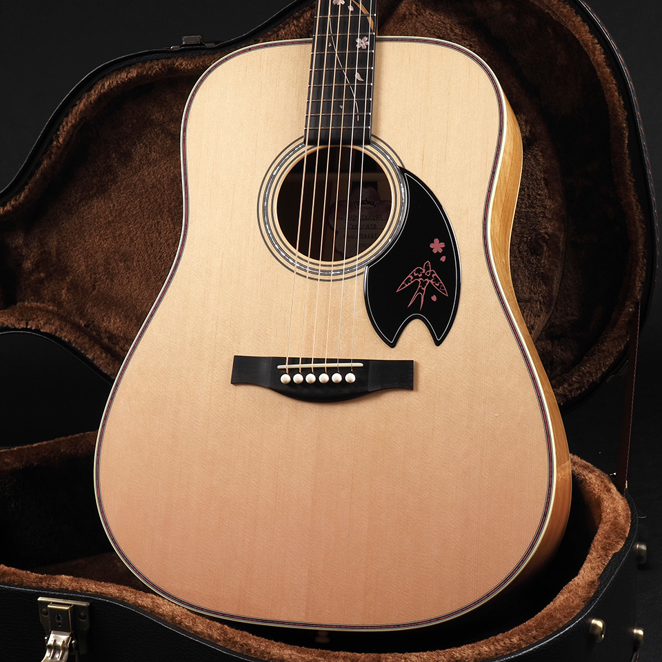 Headway HD-SAKURA'25/ATB HZ-GR ~初桜グラデーション~ 2025年 新品