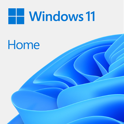 マイクロソフト(DSP) Windows 11 Pro 64bit Japanese DSP DVD 【LAN