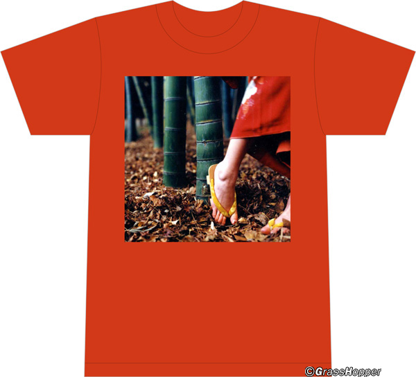 スピッツ結成30周年記念 アナログ盤16作品発表記念 ジャケT祭り｜SPITZ