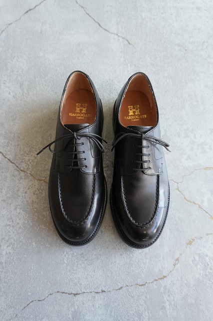 HARROGATE【ハロゲイト】 EDGEWARE | SPEACE 福井