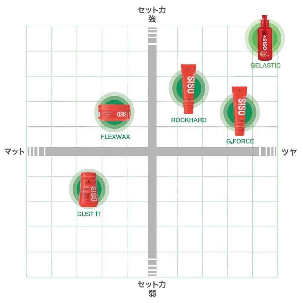 ヘンケル シュワルツコフ オージス ダストイット c 10g