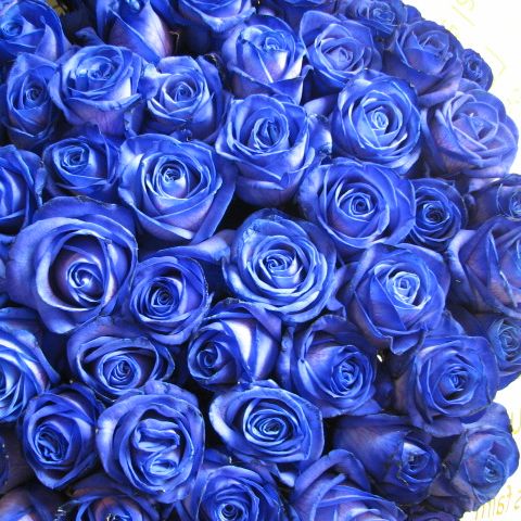 青色 バラ 青いバラの花束 20本